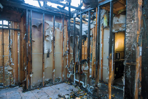 Professional Smoke Damage Removal technician working in Picnic Point, WA